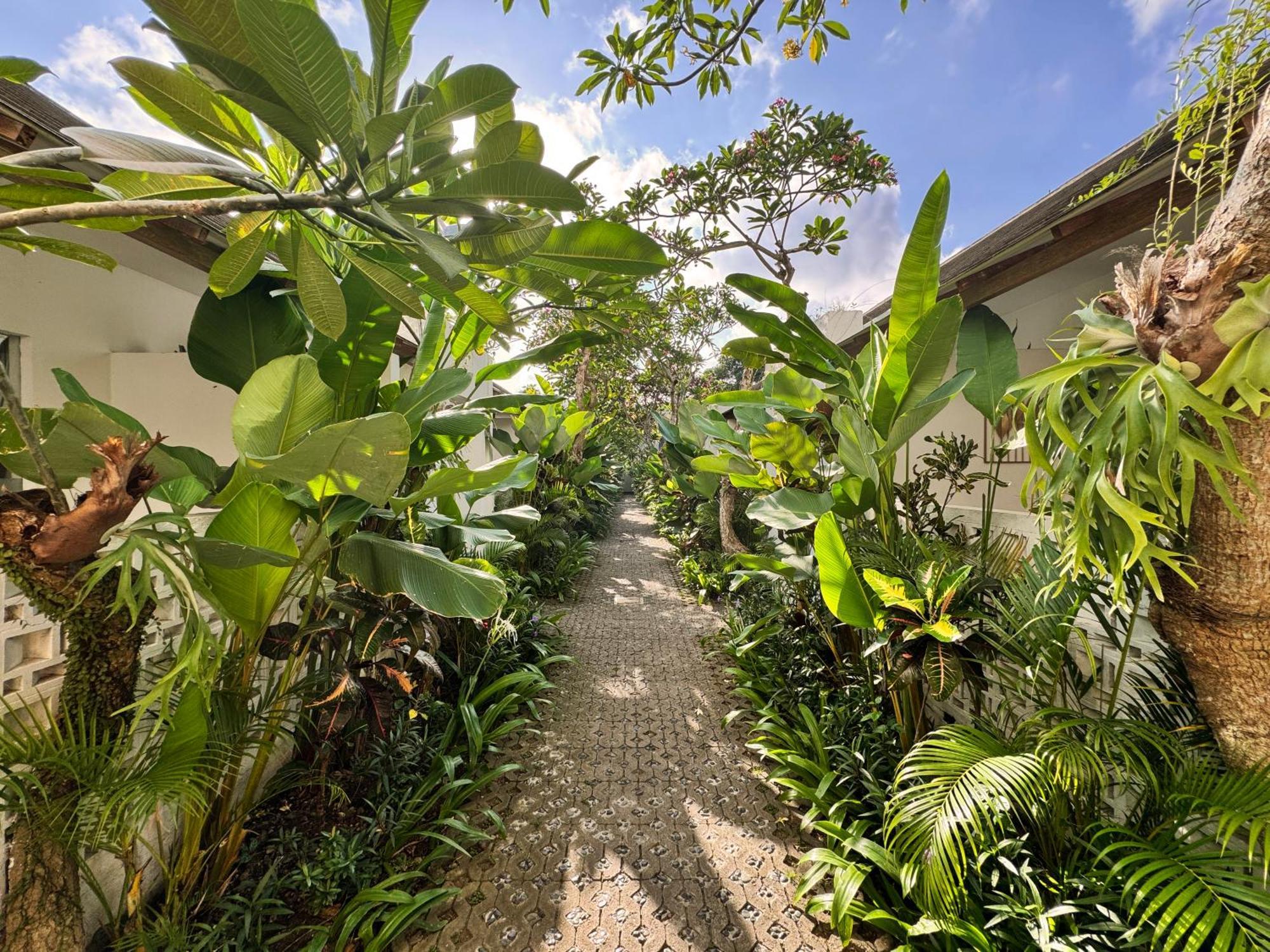 Lubdhaka Canggu Экстерьер фото
